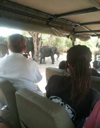 Arnolubi Safaris & Tours